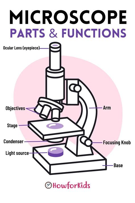 Microscopy: Intro to microscopes & how they work (article) .